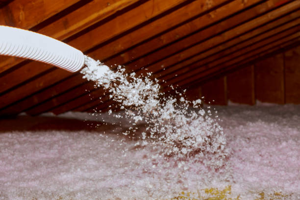 Trusted Sleepy Eye, MN Insulation Contractor Experts